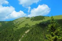 2014-07-18_Kompar (327)b.JPG